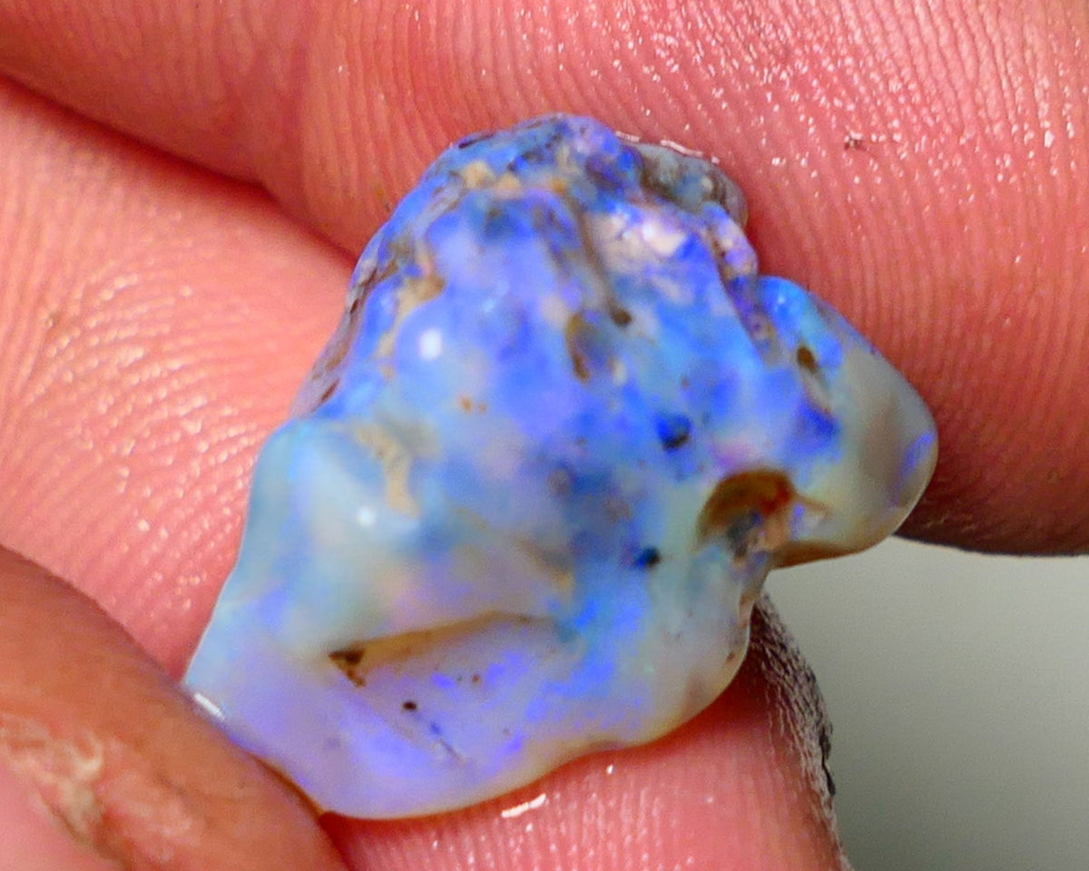 Lightning Ridge Rough Opal 14.50cts Dark Base Gamble Knobby formation Gorgeous blue fires 20x12x12mm Auction NS052