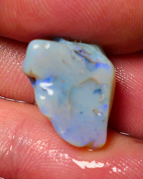 Lightning Ridge Rough Opal 14.50cts Dark Base Gamble Knobby formation Gorgeous blue fires 20x12x12mm Auction NS052