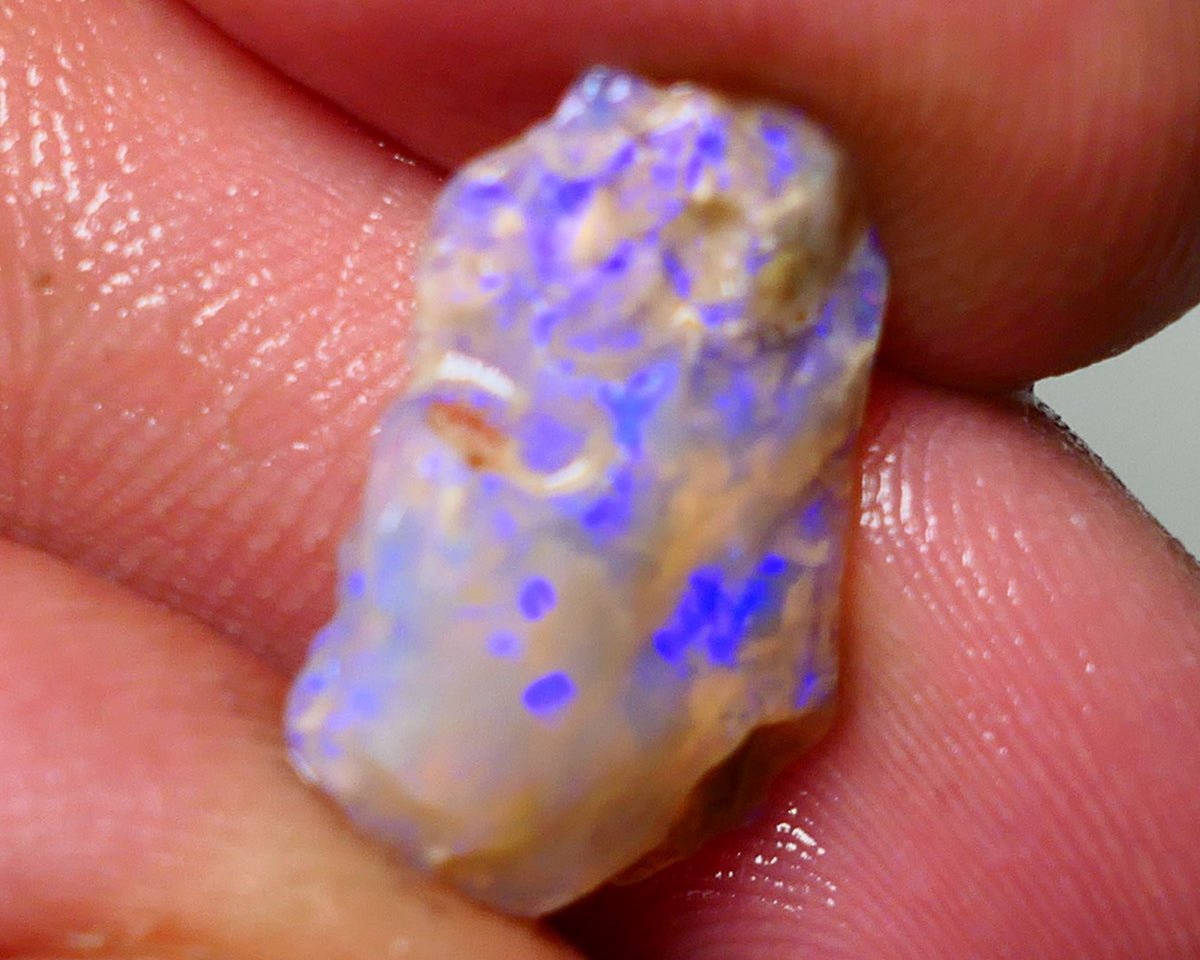 Lightning Ridge Rough Opal 6.5cts Crystal Base Gamble Seam Nice Blue fires showing 19x13x5mm Auction NS051