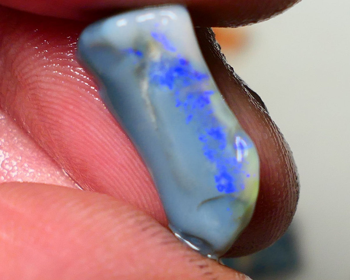 Lightning Ridge Rough Opal 7cts Dark Base Seam showing Nice bright blues colours 19x9x7mm NS050