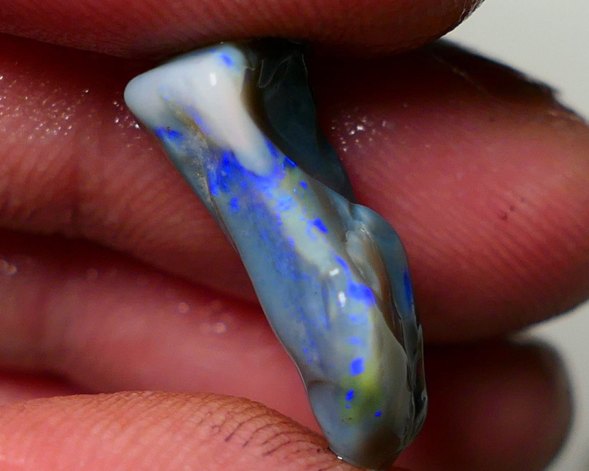 Lightning Ridge Rough Opal 7cts Dark Base Seam showing Nice bright blues colours 19x9x7mm NS050