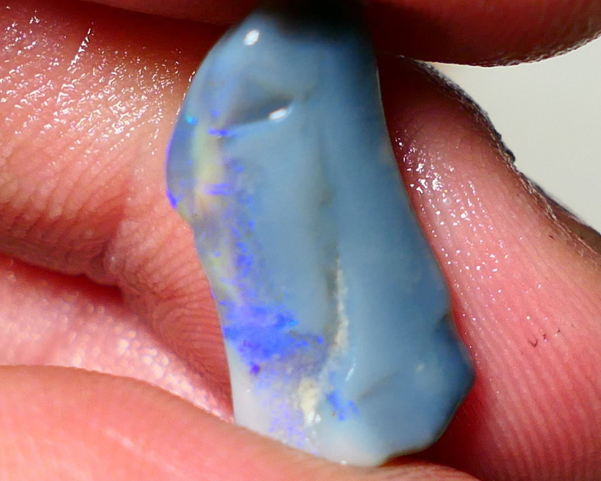 Lightning Ridge Rough Opal 7cts Dark Base Seam showing Nice bright blues colours 19x9x7mm NS050