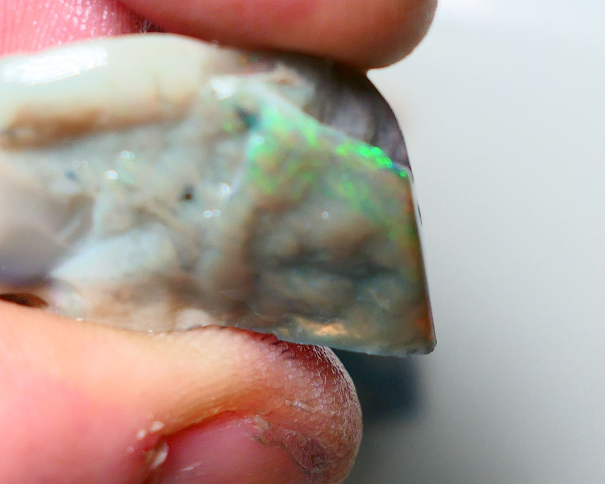 Lightning Ridge Rough Opal 32cts Big sized Yellow/Green on Dark Seam Gamble 31x20x11mm NS049