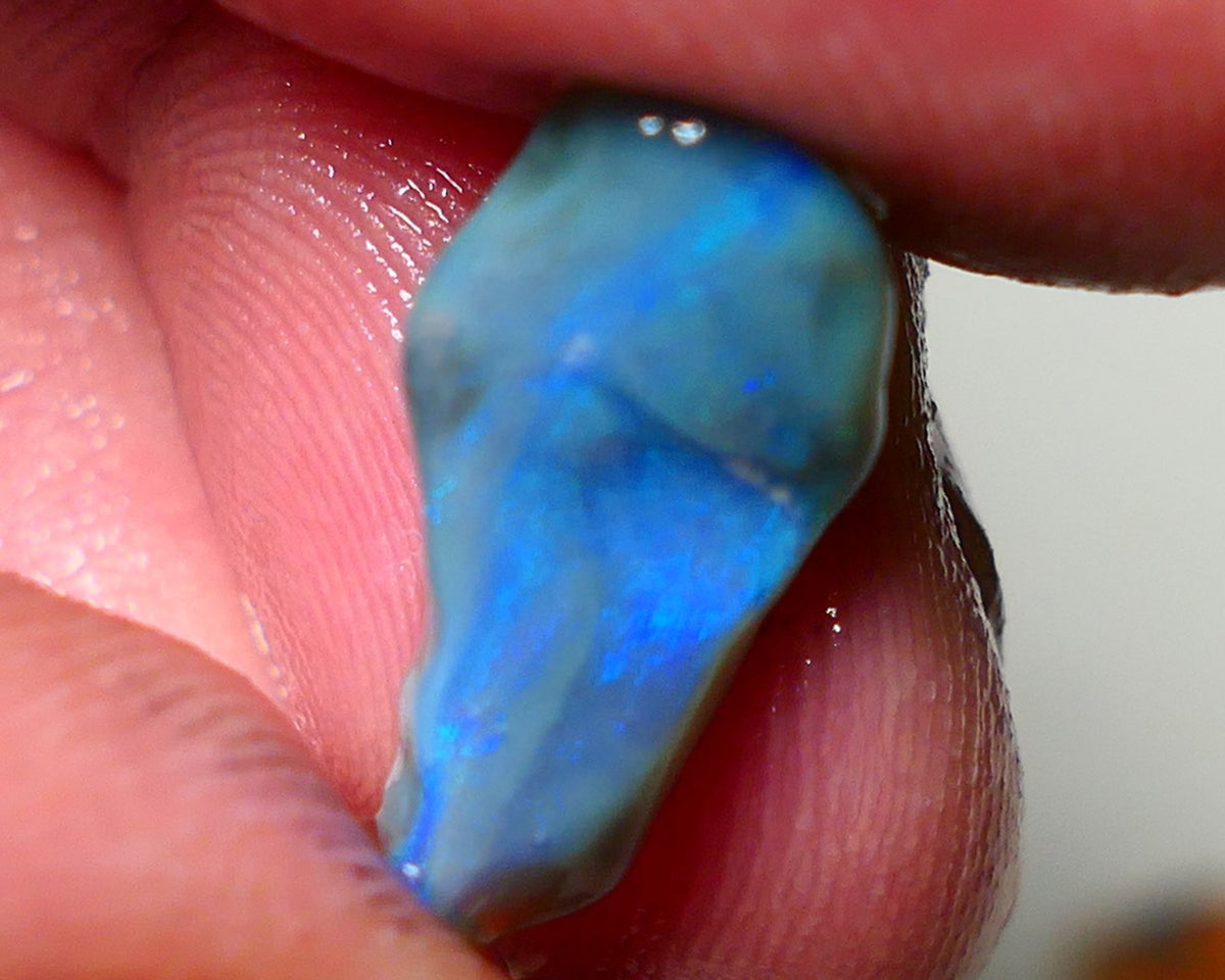 Lightning Ridge Rough Opal 5.75cts Dark Base Seam showing Nice bright blues colours 18x8x7mm NS047