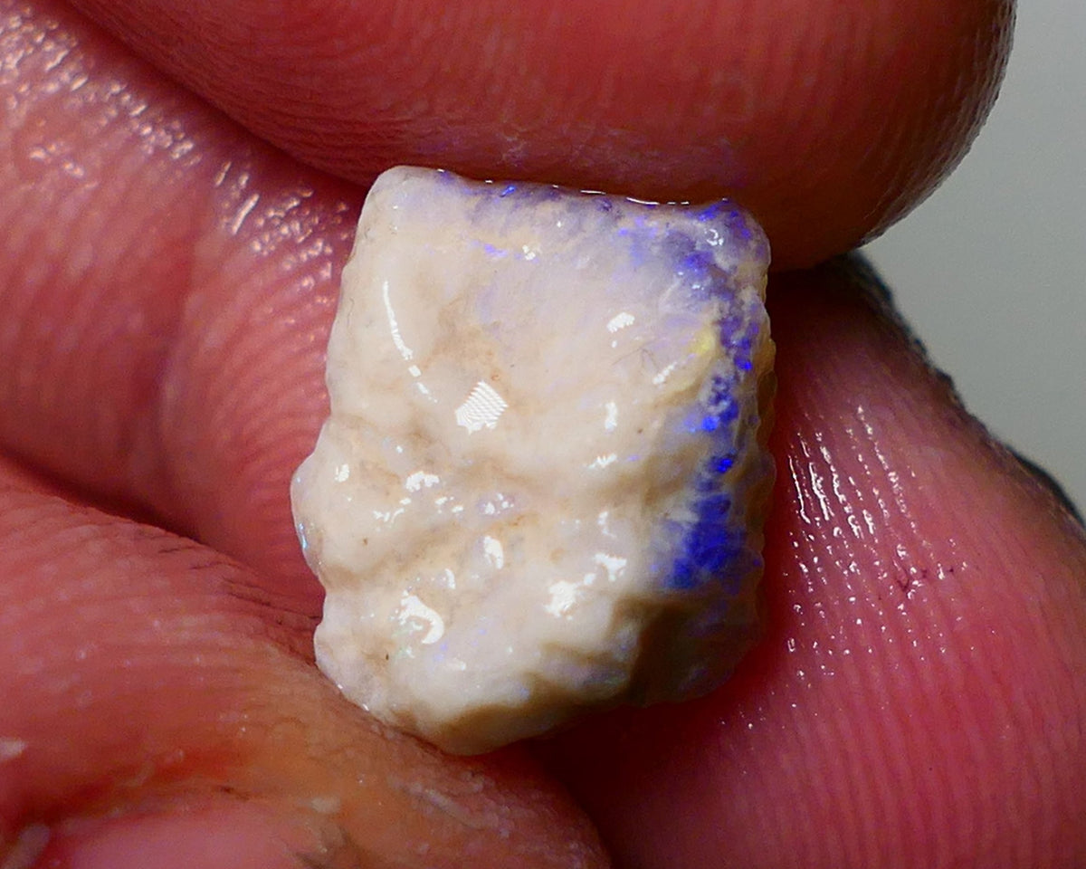 Lightning Ridge Rough Opal 4.75cts Dark Crystal Base Gamble Knobby formation showing blue fires 12x10x7mm Auction NS045