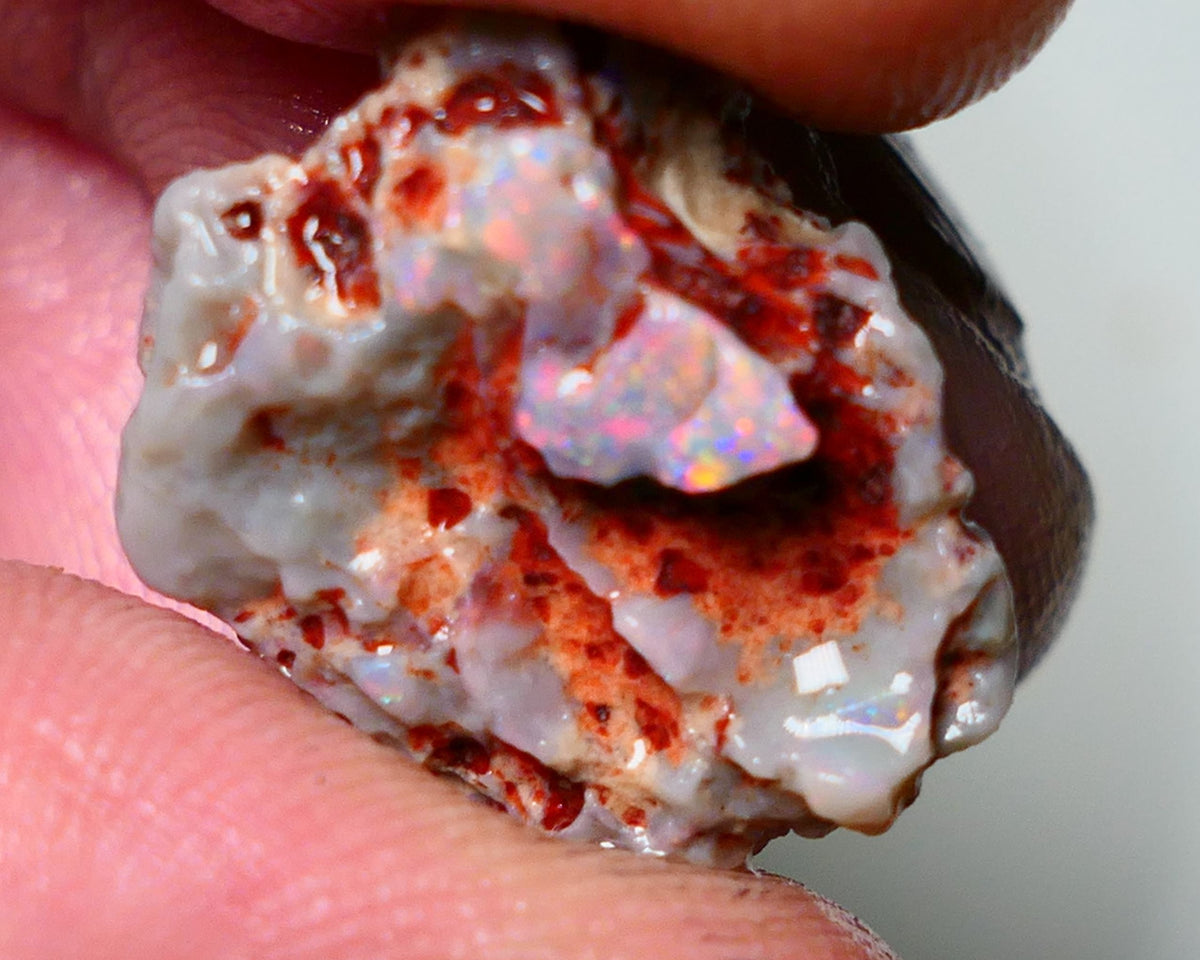 Lightning Ridge Rough Opal 15cts Dark Base Gamble Knobby formation Pinks & Multifires fires 20x17x10mm Auction NS041