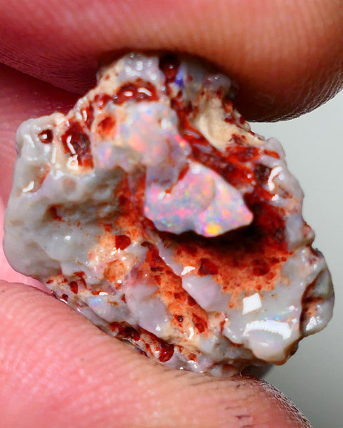 Lightning Ridge Rough Opal 15cts Dark Base Gamble Knobby formation Pinks & Multifires fires 20x17x10mm Auction NS041