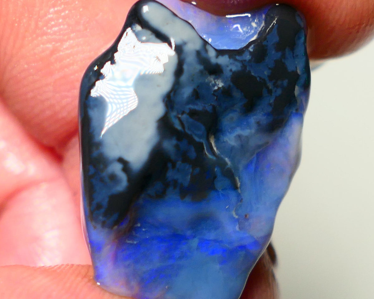 Lightning Ridge Rough Opal 25cts Big sized Blue on Black/ Dark Gamble Seam Nice Blues 27x20x8mm NS039