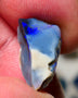 Mulga Rough Opal Gamble 8.25cts Black Base Seam Royal Blue fires to Cut / carve & polish 18x11x7mm Auction NS131