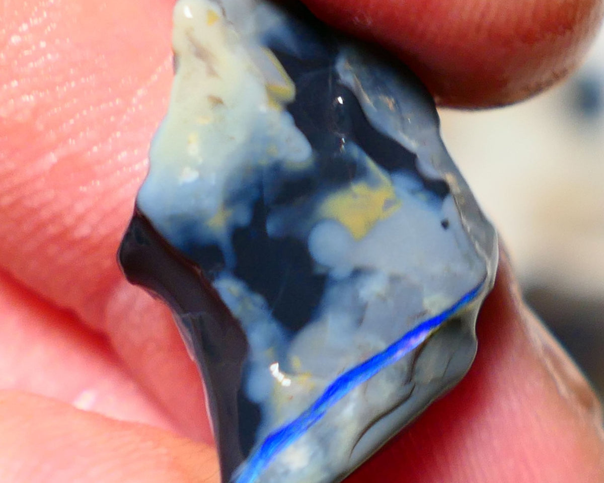 Mulga Rough Opal Gamble 9cts Dark Base Seam Blue fires in vertical bar to Cut / carve & polish 21x15x6mm Auction NS130