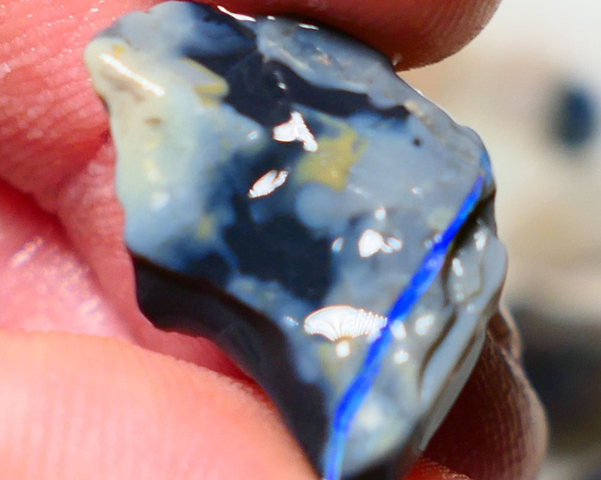 Mulga Rough Opal Gamble 9cts Dark Base Seam Blue fires in vertical bar to Cut / carve & polish 21x15x6mm Auction NS130