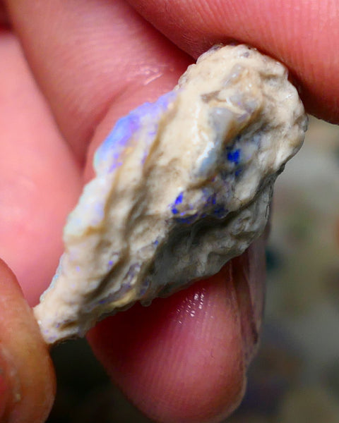 Lightning Ridge Rough Opal 17cts Crystal Base Gamble Knobby formation Light blue/Blue fires 27x19x9mm Auction NS075