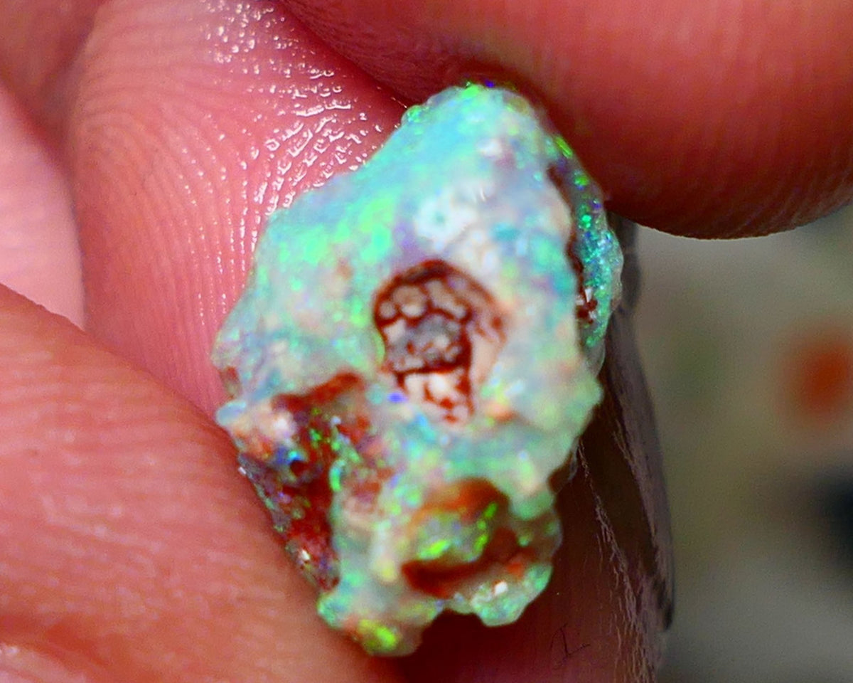 Lightning Ridge Rough Opal 3.75cts Untouched Crystal Knobby rough with Gorgeous Exotic Multicolours 14x9x7mm Auction NS074