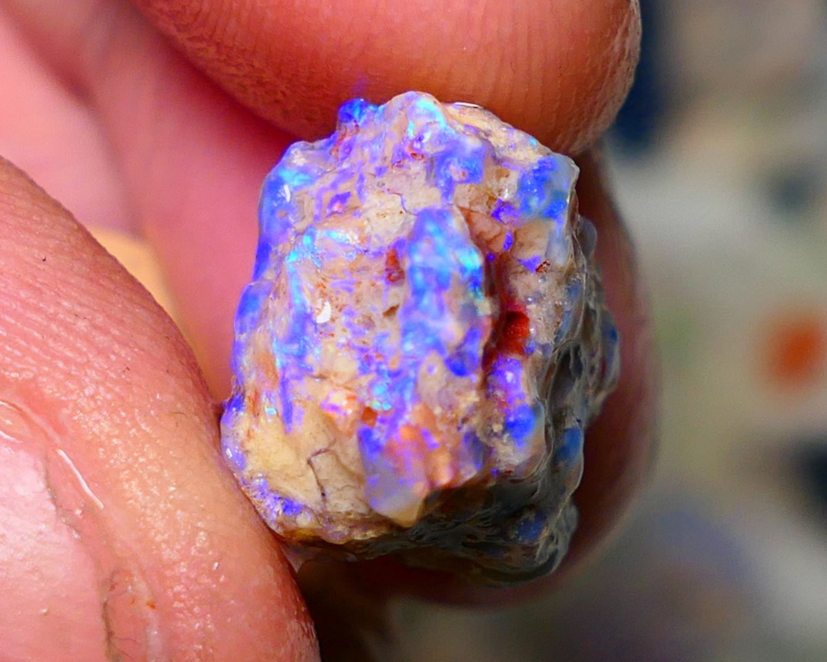 Lightning Ridge Rough Opal 10cts Dark Base Gamble Knobby formation Nice blue fires 16x13x10mm Auction NS073