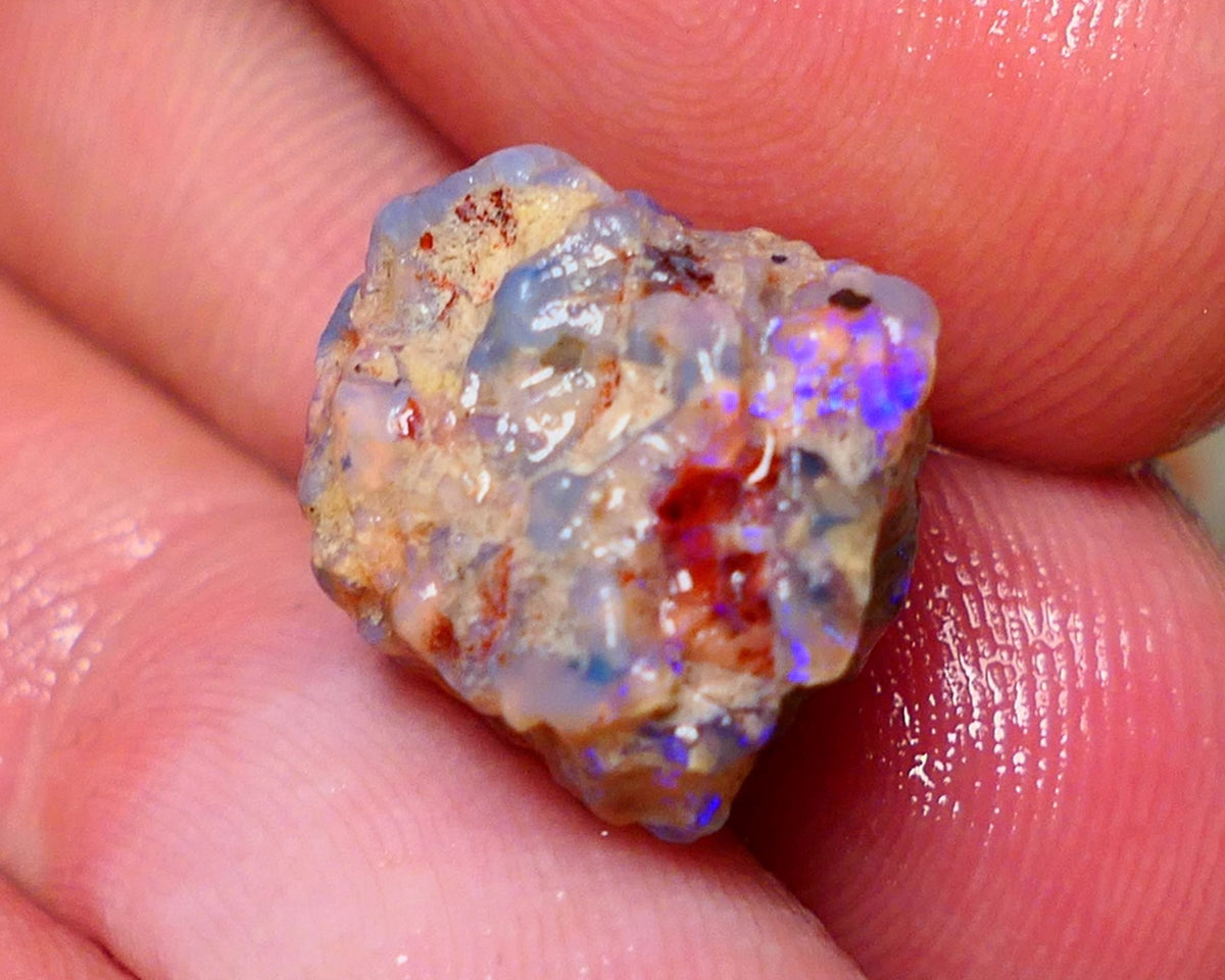 Lightning Ridge Rough Opal 10cts Dark Base Gamble Knobby formation Nice blue fires 16x13x10mm Auction NS073