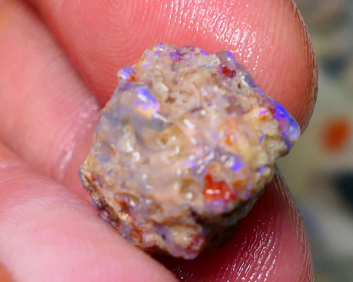 Lightning Ridge Rough Opal 10cts Dark Base Gamble Knobby formation Nice blue fires 16x13x10mm Auction NS073