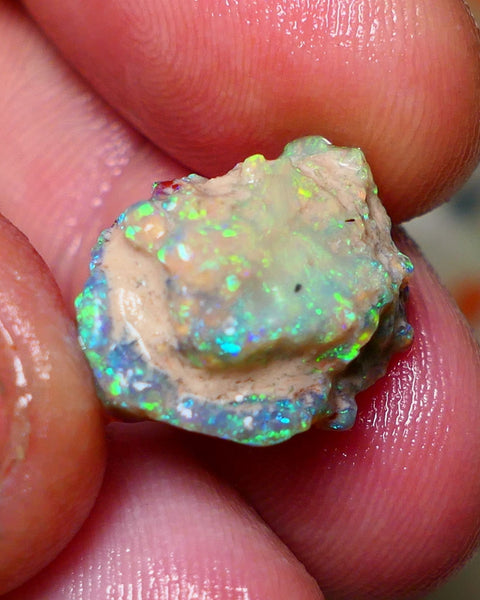 Lightning Ridge Rough Opal 10cts Untouched Knobby rough with Gemmy Gorgeous Multicolours to explore 18x14x11mm Auction NS070