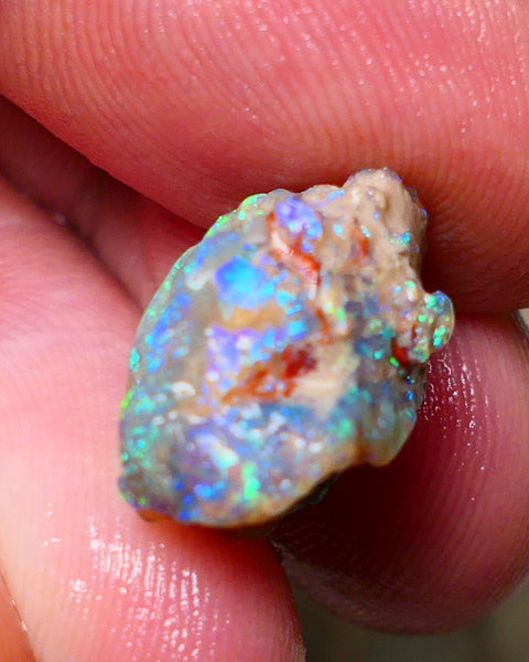 Lightning Ridge Rough Opal 10cts Untouched Knobby rough with Gemmy Gorgeous Multicolours to explore 18x14x11mm Auction NS070