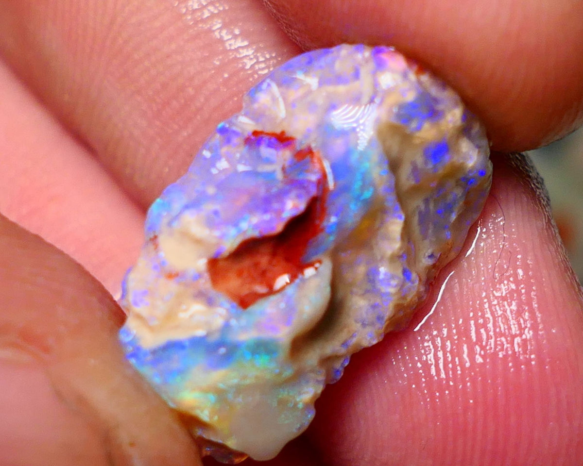 Lightning Ridge Rough Opal 10cts Crystal Base Gamble Knobby formation Light blue/Blue fires 21x12x8mm Auction NS069