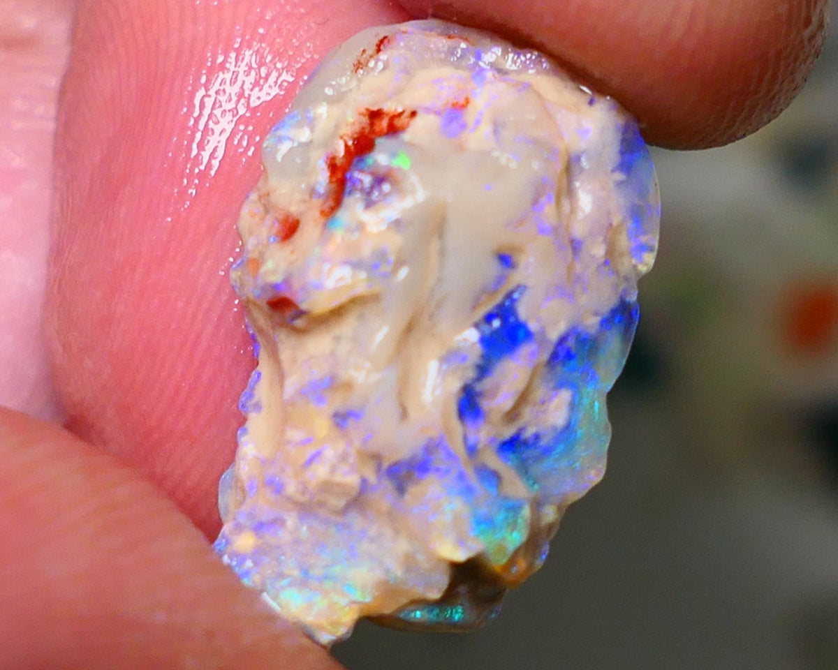 Lightning Ridge Rough Opal 10cts Crystal Base Gamble Knobby formation Light blue/Blue fires 21x12x8mm Auction NS069