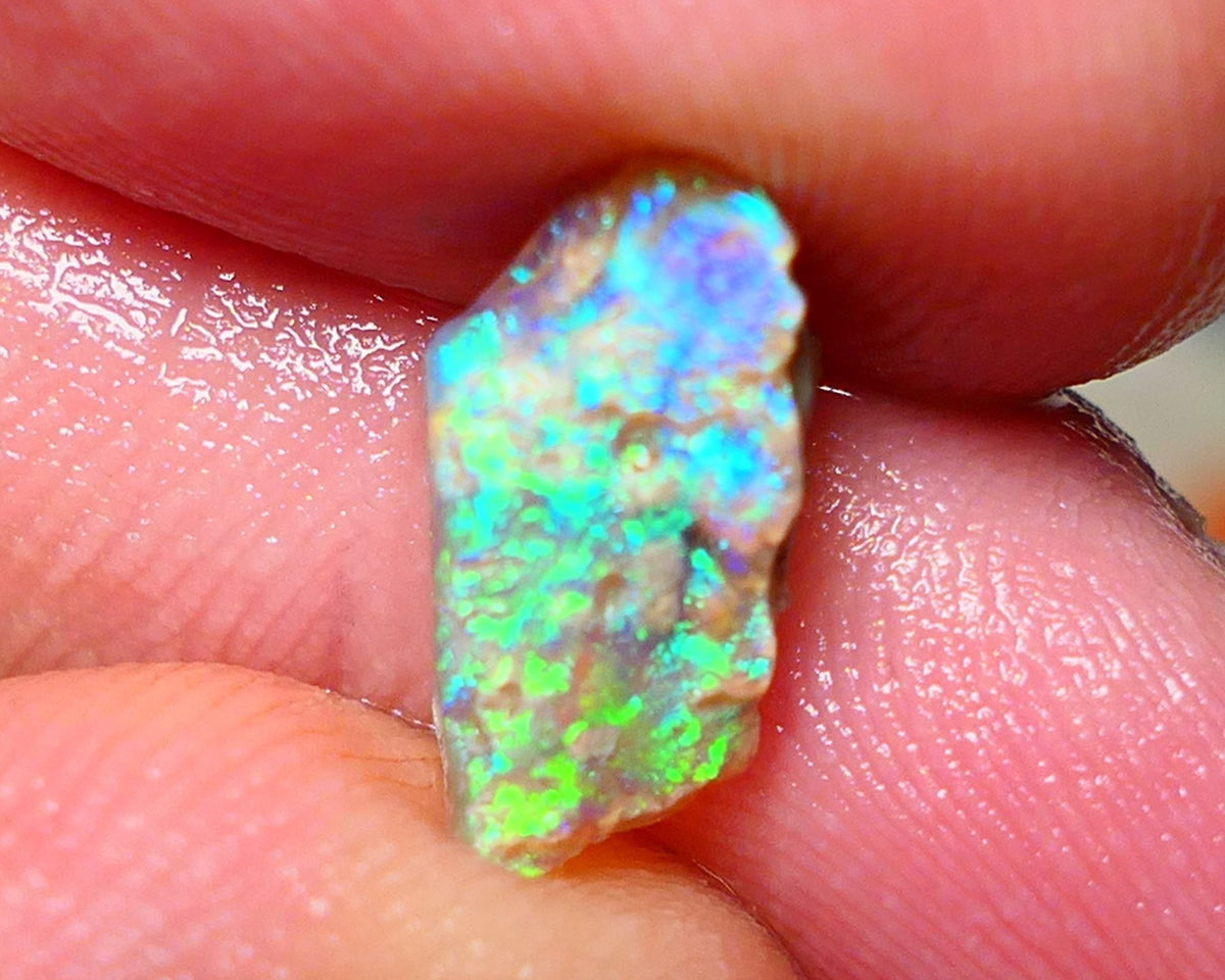 Lightning Ridge Rough Opal 2.50cts Gemmy Seam rough with Gorgeous Vivid & Vibrant Multicolours 14x7x4mm Auction NS067