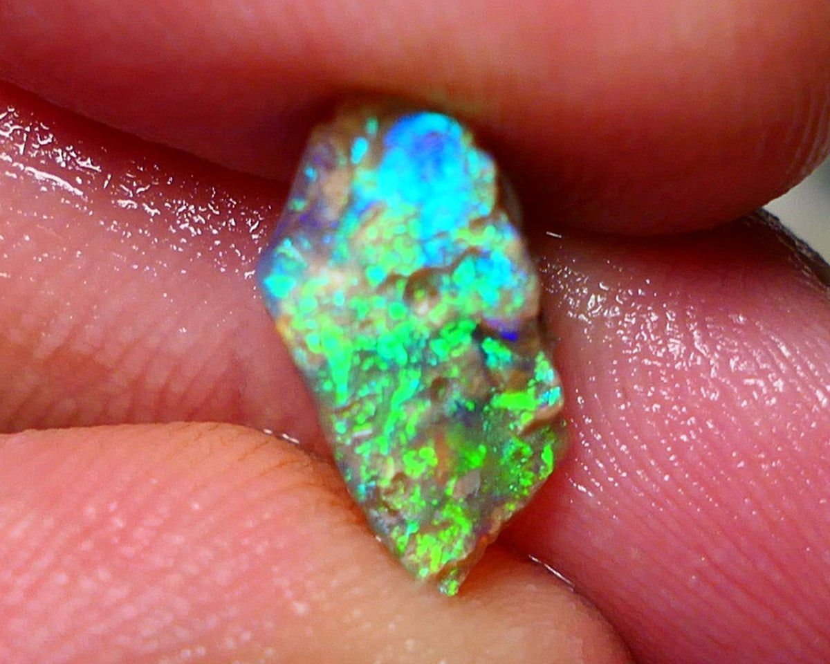 Lightning Ridge Rough Opal 2.50cts Gemmy Seam rough with Gorgeous Vivid & Vibrant Multicolours 14x7x4mm Auction NS067