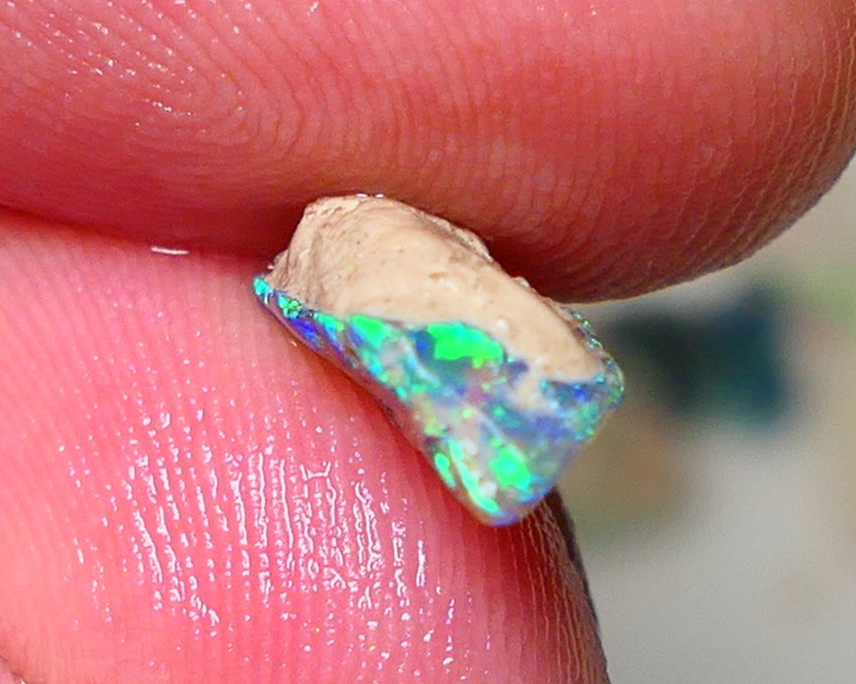 Lightning Ridge Rough Opal 2.50cts Gemmy Seam rough with Gorgeous Vivid & Vibrant Multicolours 14x7x4mm Auction NS067