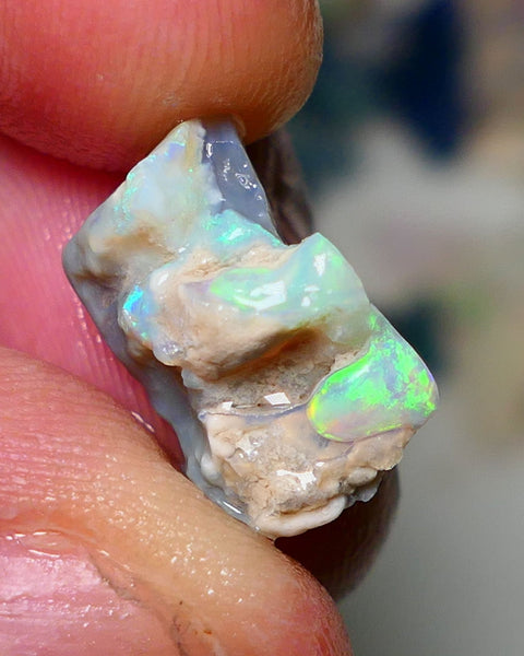 Lightning Ridge Rough Opal 6.25cts Knobby rough with Gorgeous Multicolours to explore 16x11x8mm Auction NS066