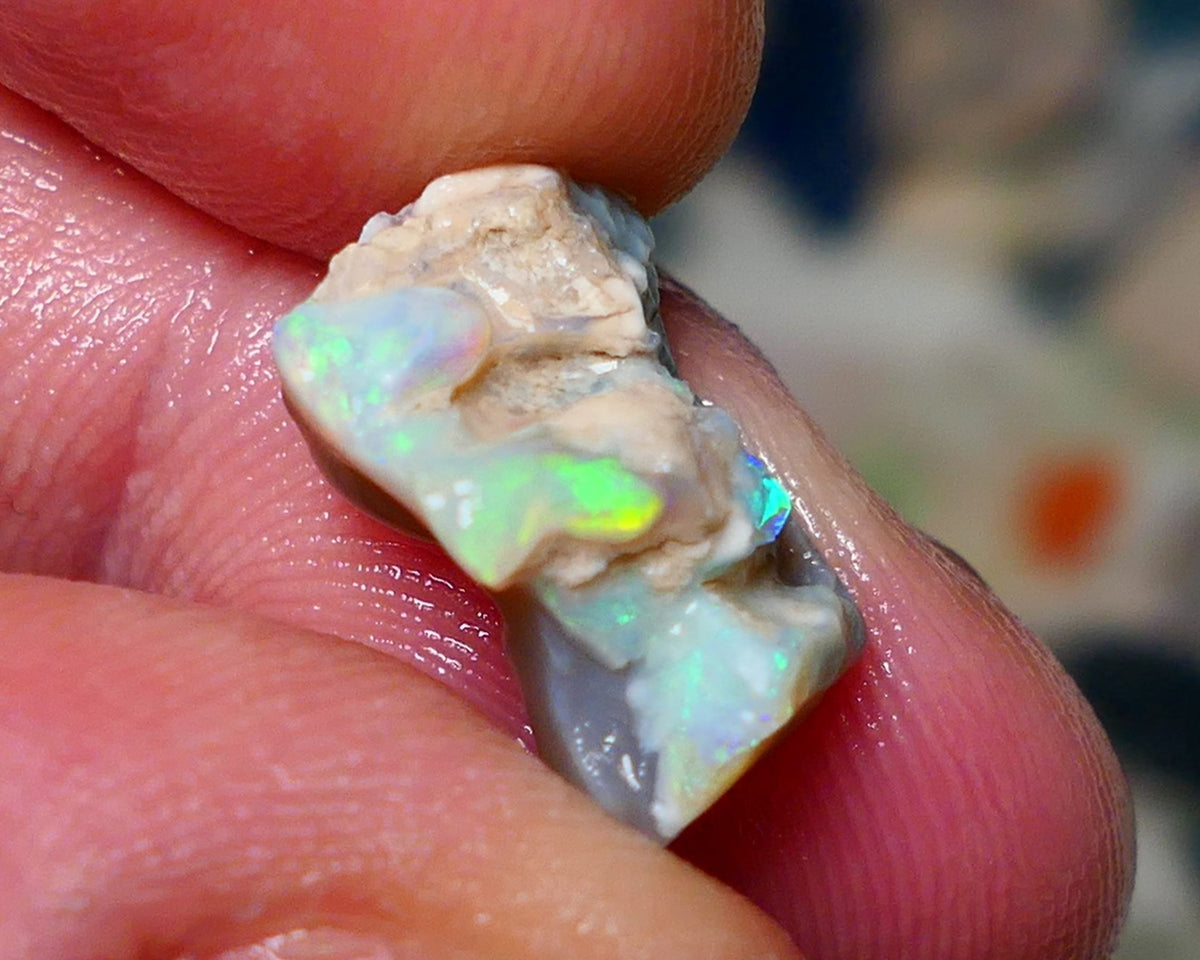 Lightning Ridge Rough Opal 6.25cts Knobby rough with Gorgeous Multicolours to explore 16x11x8mm Auction NS066