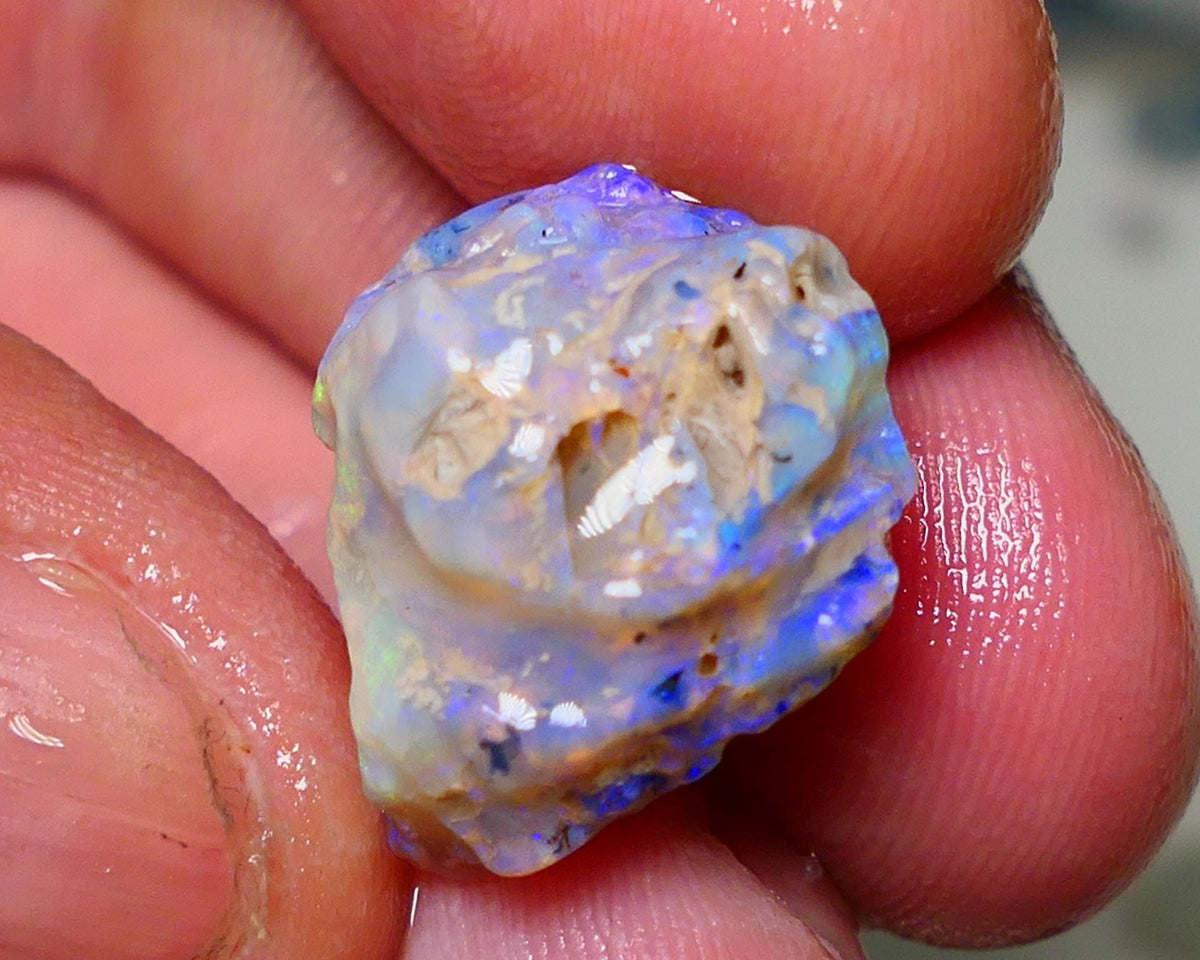 Lightning Ridge Rough Opal 12cts Dark Base Crystal Gamble Knobby formation blue dominant fires with flashes of yellows 19x10x10mm Auction NS063