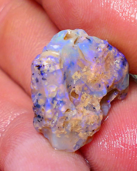 Lightning Ridge Rough Opal 12cts Dark Base Crystal Gamble Knobby formation blue dominant fires with flashes of yellows 19x10x10mm Auction NS063