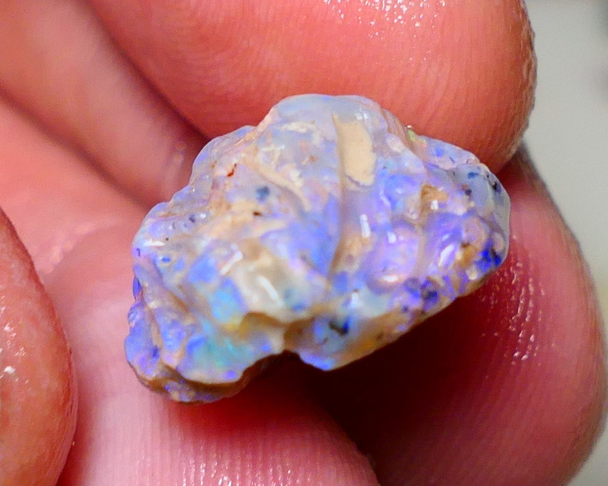 Lightning Ridge Rough Opal 12cts Dark Base Crystal Gamble Knobby formation blue dominant fires with flashes of yellows 19x10x10mm Auction NS063