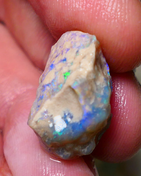 Lightning Ridge Rough Opal 15.75cts Dark Base Crystal Gamble Knobby formation Gorgeous blue/green fires 21x13x12mm Auction NS060