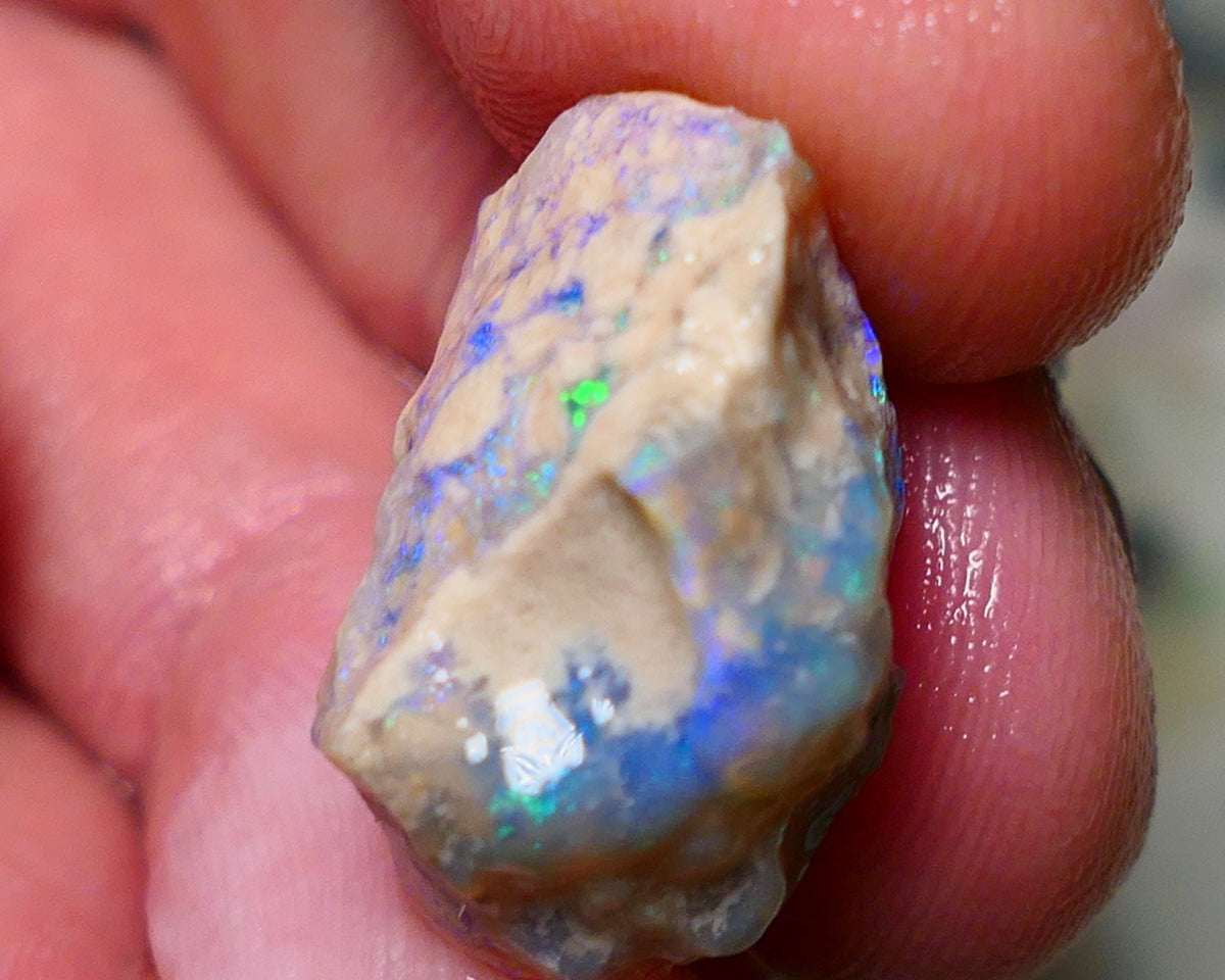 Lightning Ridge Rough Opal 15.75cts Dark Base Crystal Gamble Knobby formation Gorgeous blue/green fires 21x13x12mm Auction NS060