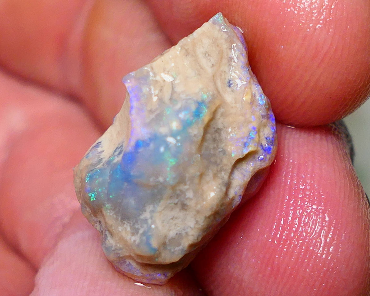 Lightning Ridge Rough Opal 15.75cts Dark Base Crystal Gamble Knobby formation Gorgeous blue/green fires 21x13x12mm Auction NS060