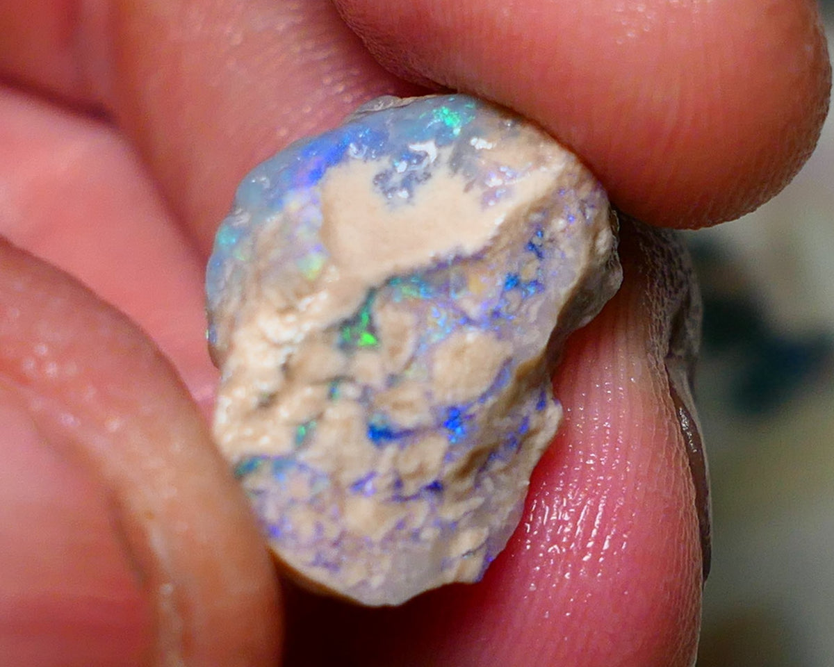 Lightning Ridge Rough Opal 15.75cts Dark Base Crystal Gamble Knobby formation Gorgeous blue/green fires 21x13x12mm Auction NS060