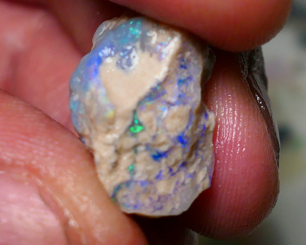 Lightning Ridge Rough Opal 15.75cts Dark Base Crystal Gamble Knobby formation Gorgeous blue/green fires 21x13x12mm Auction NS060