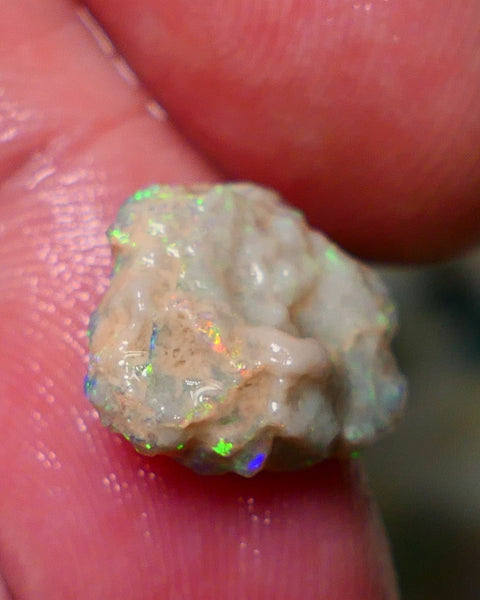 Lightning Ridge Rough Opal 3.80cts Untouched Knobby rough with Gorgeous Multicolours to explore 14x12x5mm Auction NS057