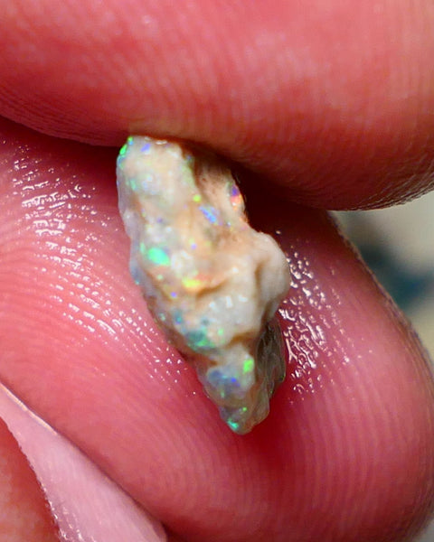 Lightning Ridge Rough Opal 3.80cts Untouched Knobby rough with Gorgeous Multicolours to explore 14x12x5mm Auction NS057