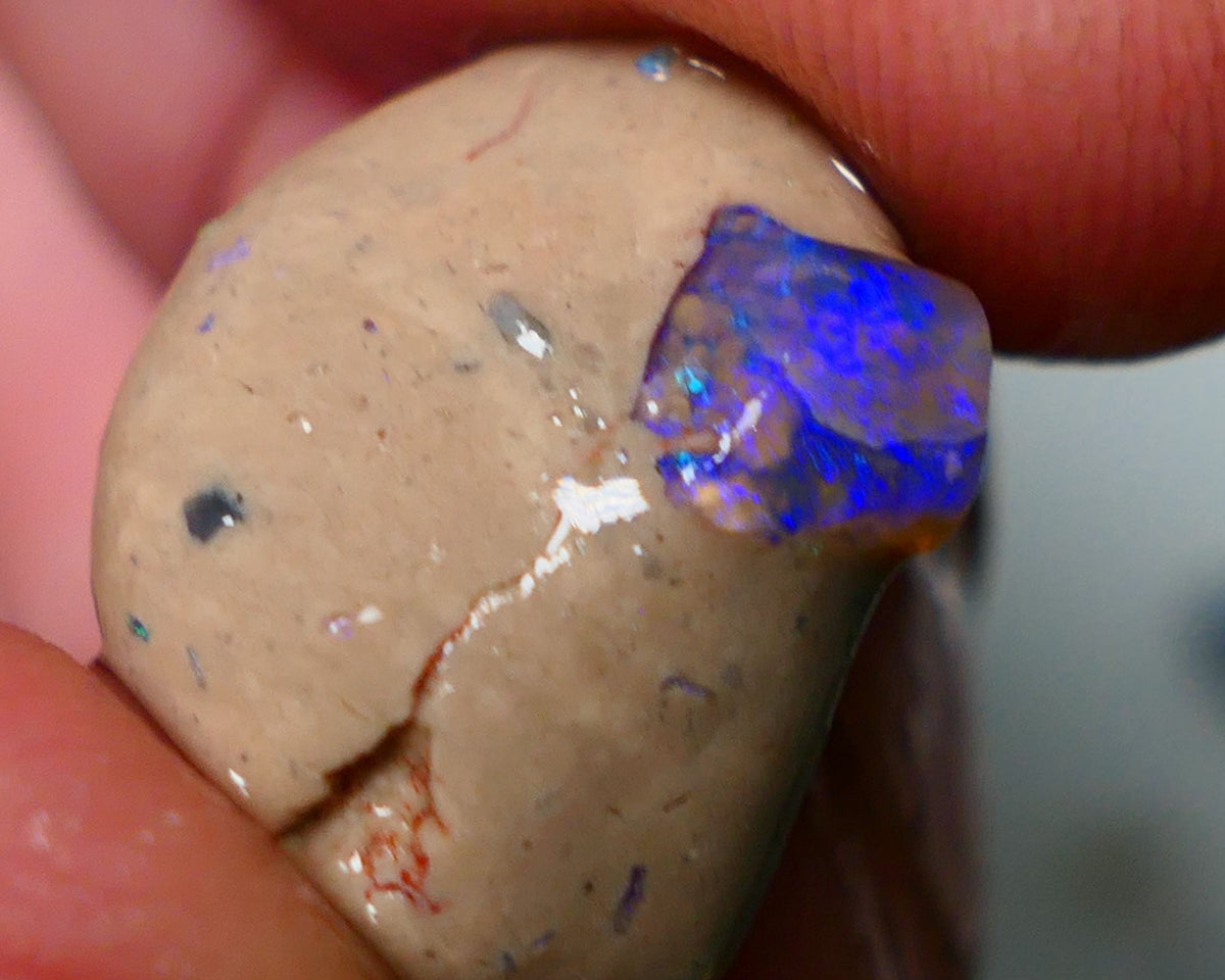 Lightning Ridge Rough Opal 10cts Bright Gemmy blues in Crystal base Seam sat on host rock 19x15x7mm NS084