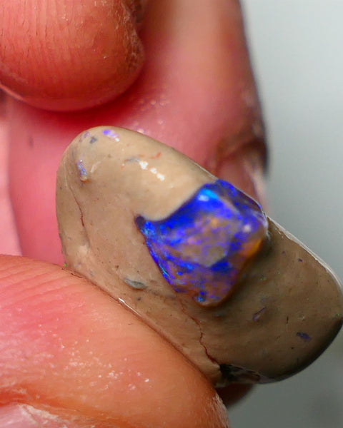 Lightning Ridge Rough Opal 10cts Bright Gemmy blues in Crystal base Seam sat on host rock 19x15x7mm NS084