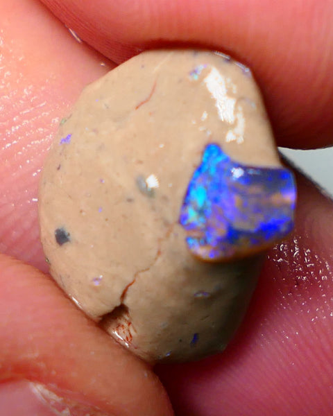 Lightning Ridge Rough Opal 10cts Bright Gemmy blues in Crystal base Seam sat on host rock 19x15x7mm NS084