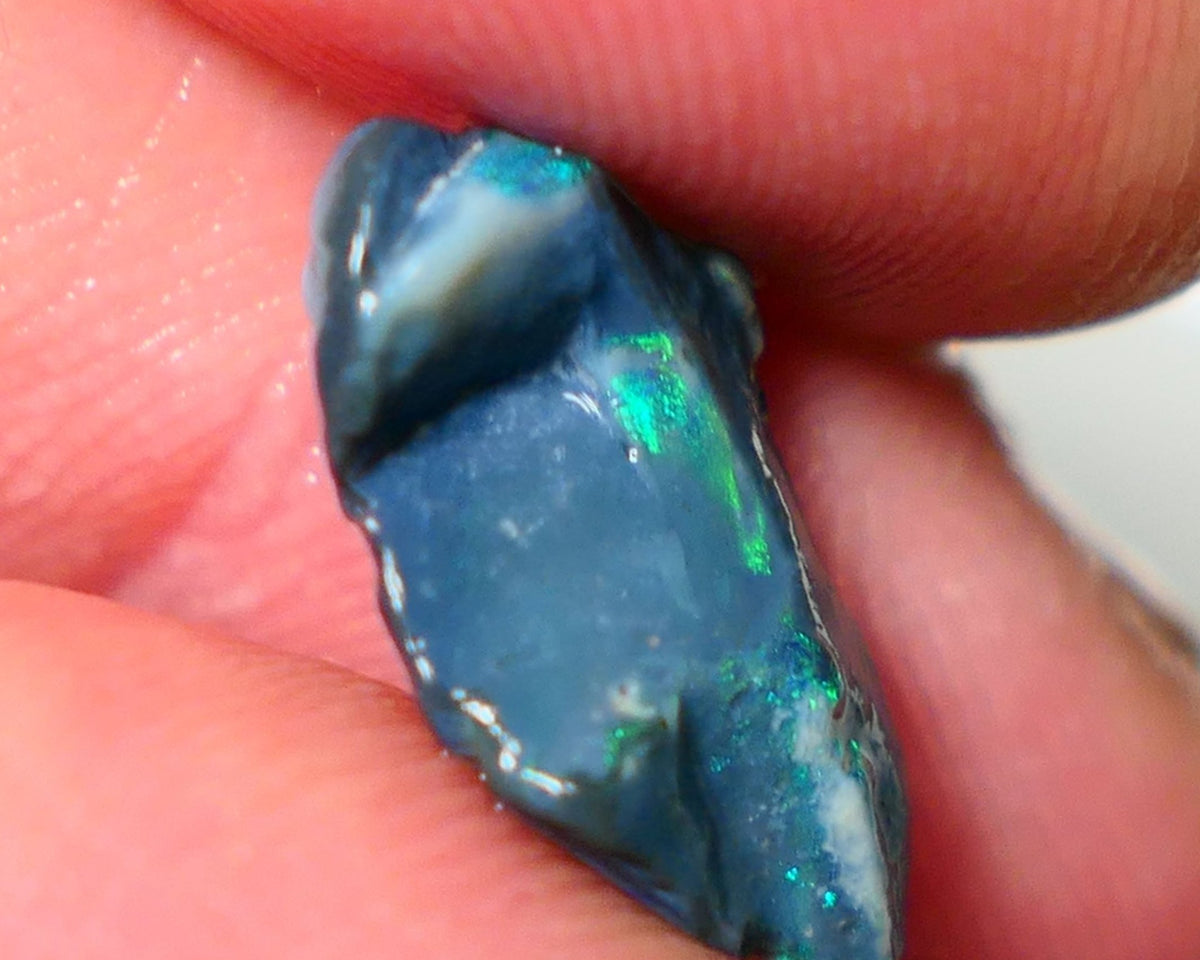 Mulga Rough Opal Gamble 4.25cts Dark Base Seam Green Dominant Multi colour fires to Cut / carve & polish 18x11x5mm Auction NS082