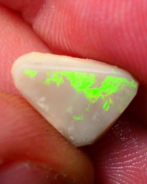 Lightning Ridge Rough / Rub Dark Seam opal 2.75cts Nice Yellow Fires  13x10x3mm NS121