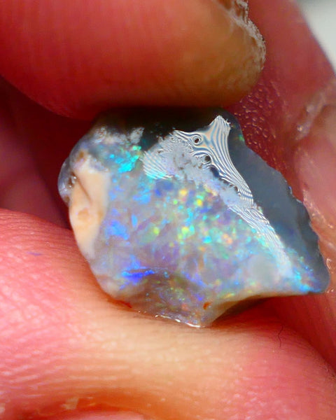 Interesting Dark Base Knobby Rough / Rub opal Miners Bench® 2.90cts Reds & Blue M.Fires 13x10x4mm AUCTION NS092