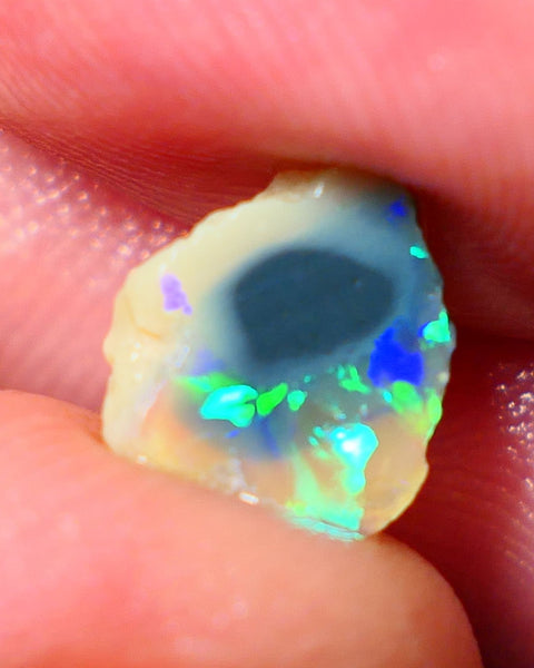 Lightning Ridge Rough / Rub knobby opal Miners Bench® 1.85cts Exotic Bright Yellow/Green/Blue/Teal Fires 10x9x3mm AUCTION NS091