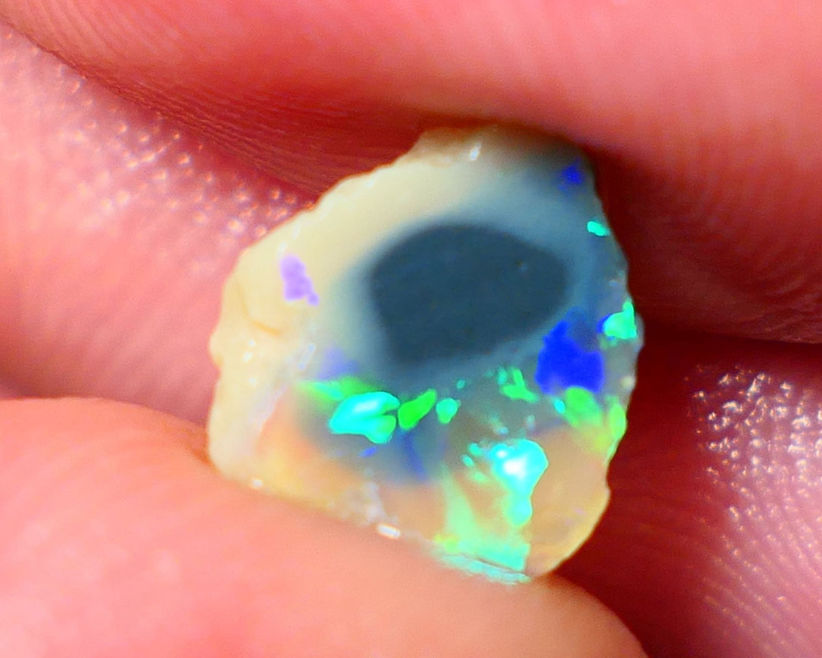 Lightning Ridge Rough / Rub knobby opal Miners Bench® 1.85cts Exotic Bright Yellow/Green/Blue/Teal Fires 10x9x3mm AUCTION NS091