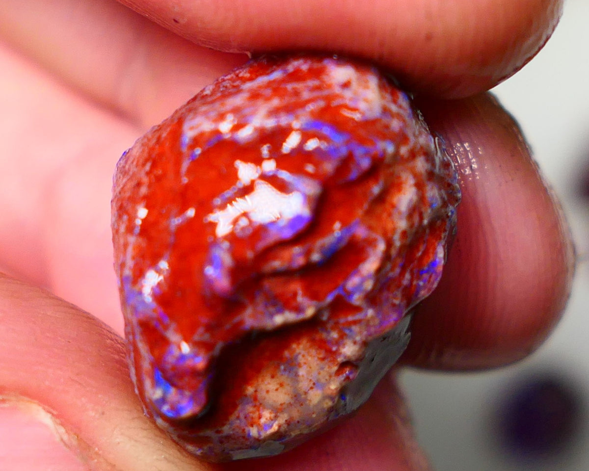 Lightning Ridge Rough Opal 18cts Dark Base Gamble Knobby formation Nice blue fires 20x15x12mm NS110