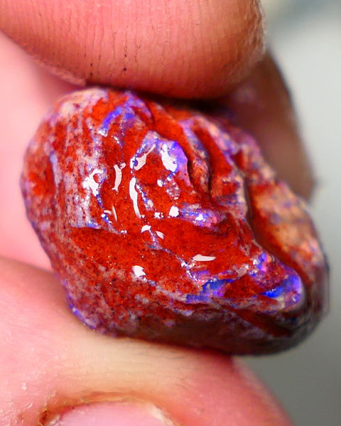 Lightning Ridge Rough Opal 18cts Dark Base Gamble Knobby formation Nice blue fires 20x15x12mm NS110