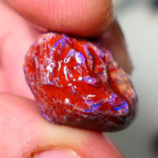 Lightning Ridge Rough Opal 18cts Dark Base Gamble Knobby formation Nice blue fires 20x15x12mm NS110